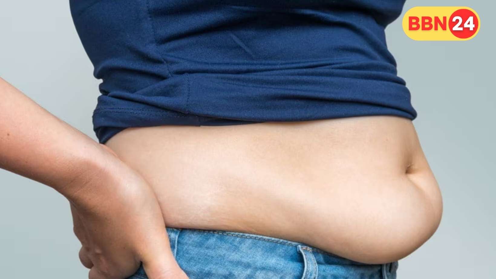 Belly Fat Health Risk Kidney Liver Heart