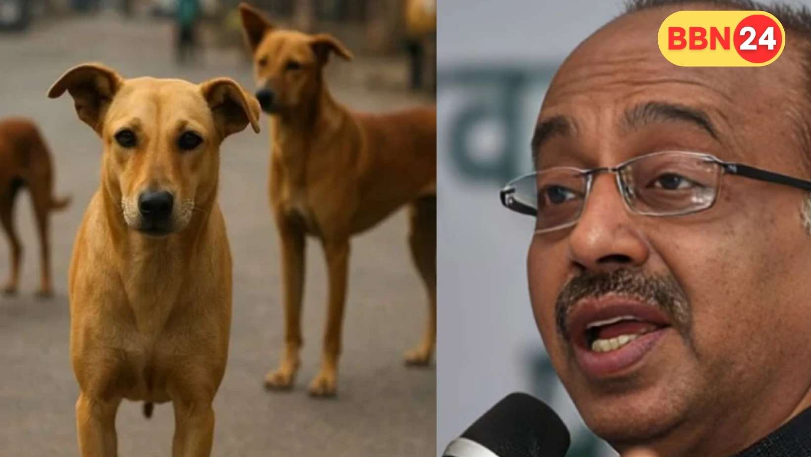Delhi Stray Dogs Supreme Court Order Vijay Goel Reaction