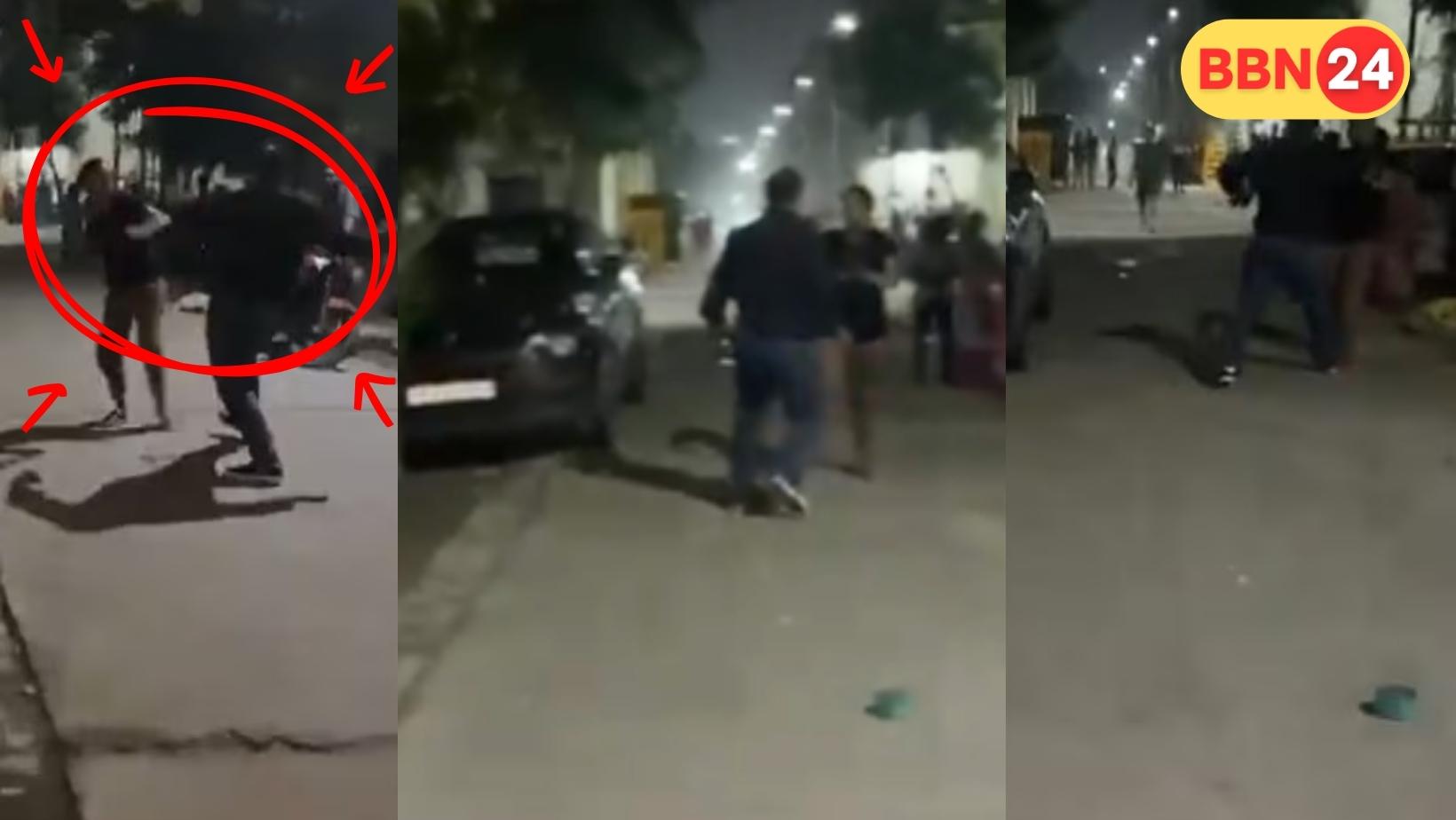 Ghaziabad Woman Slapped For Feeding Stray Dogs Video Viral